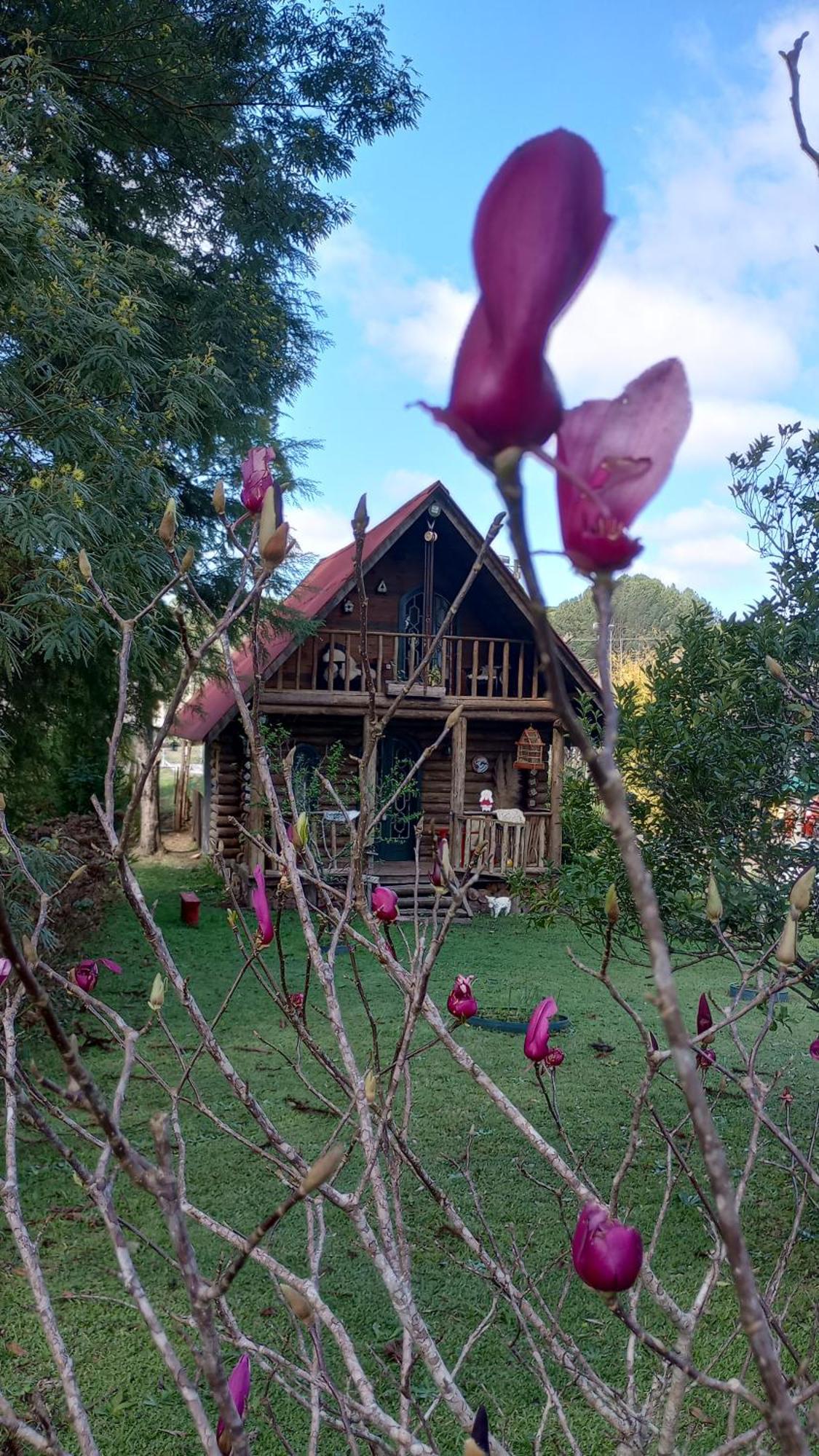 Casa De Toras Hotel Campo Alegre  Kültér fotó