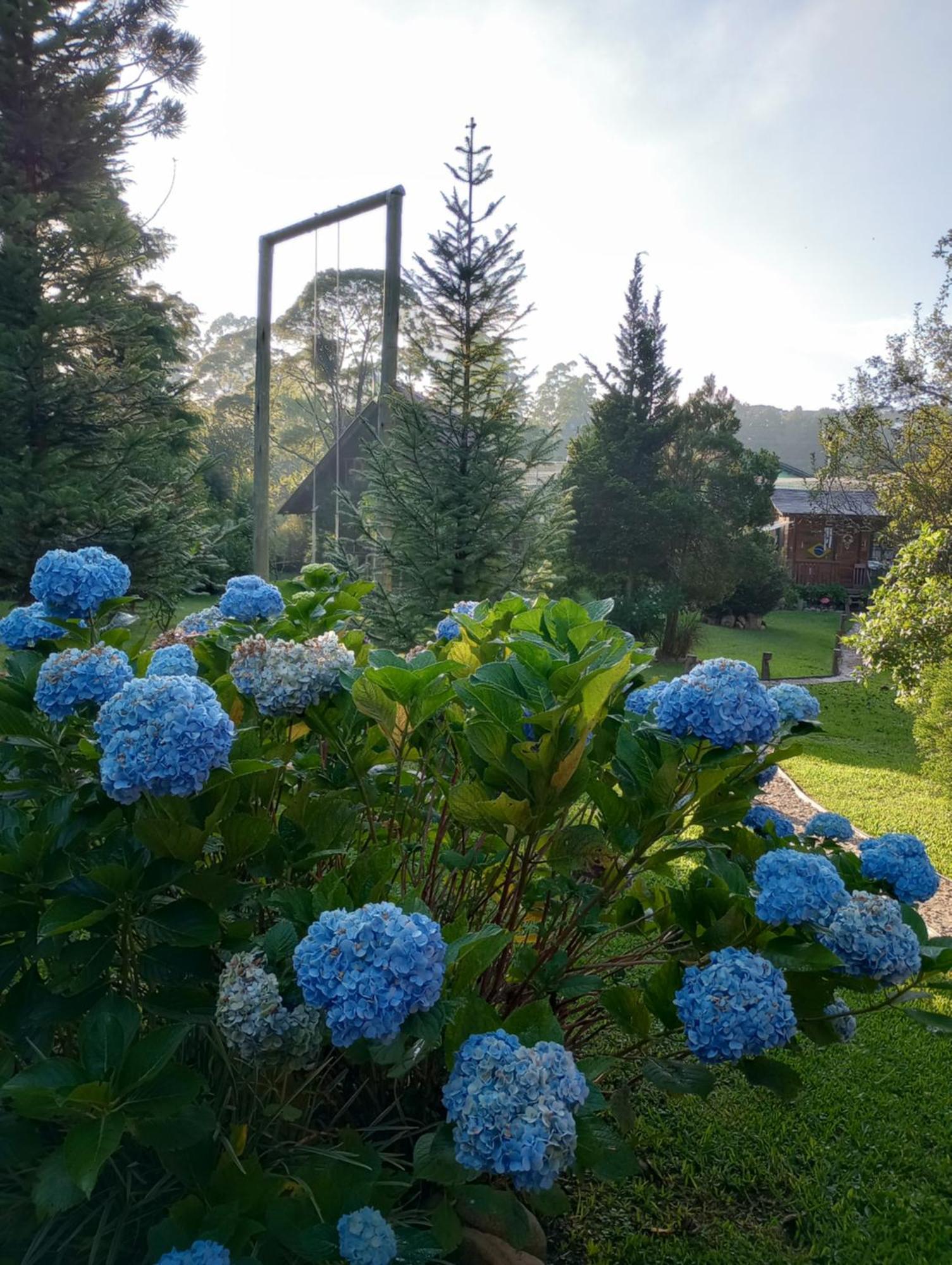 Casa De Toras Hotel Campo Alegre  Kültér fotó